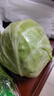 圓白菜約1kg 曬單實(shí)拍圖