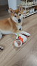 貴為（GiGwi）中小型犬磨牙發(fā)聲響紙狗狗玩具柯基泰迪比熊幼犬小狗寵物玩具羊駝 曬單實拍圖