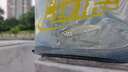 臻佑（Grsaed）打水桶釣魚8L方形可折疊水桶戶外野釣路亞活魚桶便攜釣魚桶 透明 曬單實拍圖