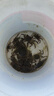 湃速適配12-18款福特新?？怂?.6L/18-20新?？怂?.0T 1.5T無骨雨刮器雨刷原廠汽車前雨刮片靜音 28+28方塊 曬單實拍圖