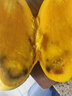 譯優(yōu)農(nóng)正宗海南芒果三亞金煌芒新鮮熱帶水果當(dāng)季水仙特大甜心芒特產(chǎn)送禮 凈重9斤果王【單果500g+】 曬單實拍圖