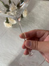 索雅特 stolzle紅酒杯德國進(jìn)口水晶玻璃杯勃艮第套裝一對高檔輕奢高腳杯 【爆款】超凡勃艮第杯2支 710ml 曬單實(shí)拍圖