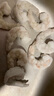 賣(mài)魚(yú)郎先生 國產(chǎn)無(wú)保水青蝦仁凈重1.5斤 65-80個(gè)活蝦速凍開(kāi)背去蝦線(xiàn) 曬單實(shí)拍圖