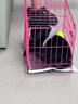 皇家狗糧 博美成犬狗糧 犬糧 寵物小型犬 PM26 全價(jià)犬糧 ≥8月 2KG 曬單實(shí)拍圖