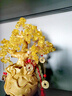貞嘻發(fā)財樹(shù)擺件辦公室桌面入戶(hù)玄關(guān)擺件高端大氣開(kāi)業(yè)大吉擺件喬遷禮物 聚財搖錢(qián)樹(shù)【中號19*10*22cm】 曬單實(shí)拍圖