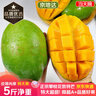 京地達海南貴妃芒果 凈重4.5斤超大果200g+ 肉厚無(wú)絲新鮮水果源頭包郵 曬單實(shí)拍圖