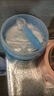 藍河（blue river）【掃碼領(lǐng)紅包】幼兒配方綿羊奶粉 1-3歲 3段800g罐裝新西蘭進(jìn)口 曬單實(shí)拍圖