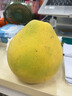 正宗湖南懷化雪峰柚冰糖柚子9斤新鮮水果白心柚老樹(shù)蜜柚苦柚青柚L 5斤大果【3-4個(gè)】 曬單實(shí)拍圖