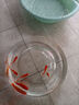 YEE金魚(yú)飼料小顆粒錦鯉魚(yú)魚(yú)食 家用小型魚(yú)觀(guān)賞魚(yú)魚(yú)糧增色1.5mm360g 曬單實(shí)拍圖