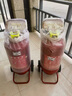 詩佳達(dá)手推車式30公斤干粉滅火器倉庫工廠加油站20kg30kg35kg消防滅火器 20kg 干粉 （2024/12月日期） 曬單實(shí)拍圖