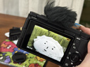 索尼（SONY）ZV-E10 II APS-C畫(huà)幅微單相機 創(chuàng  )意外觀(guān)濾鏡  ZV-E10M2 ZV-E10M2K  E10二代 E10M2 黑色套機（機身+1650鏡頭） 官方標配 曬單實(shí)拍圖