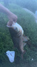 天元鄧剛千川8魚竿輕量大物釣魚竿臺(tái)釣竿鰱鳙竿手竿釣魚裝備 7.2m 【預(yù)售】 曬單實(shí)拍圖