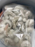 青蝦仁超大號開(kāi)背青蝦仁去蝦線(xiàn)活蝦現剝個(gè)大肥厚 1kg(凈重)  含30%保護冰 曬單實(shí)拍圖