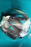 野營(yíng)者29升帶輪防刮釣箱全套新款多功能釣魚(yú)箱魚(yú)桶垂釣保溫臺釣箱 29L 帶輪雙炮臺 雙軌道夜釣款+工具層+支架*2 曬單實(shí)拍圖