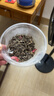戶(hù)凈殺蟲(chóng)粉劑跳蚤藥殺蟲(chóng)蜈蚣藥家用室內滅殺蝎子馬陸臭蟲(chóng)潮蟲(chóng)蚰蜒粉劑 曬單實(shí)拍圖