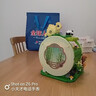 佳樂(lè )專(zhuān)熊貓竹居積木高國潮茶舍擺件兒童小顆粒益智拼裝玩具禮物 茶緣居【內置燈光】 曬單實(shí)拍圖
