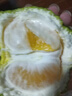 粵迎丑橘酸甜口感當(dāng)季新鮮柑橘無籽孕婦可皮青吃丑桔子四川整箱應(yīng)季 5斤精選果凈4.5斤 曬單實(shí)拍圖