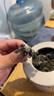 2025新安溪鐵觀音茶葉鮮茶濕茶冰茶濃香型烏龍茶帶梗毛茶500g 500g 曬單實拍圖