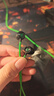 雷蛇（Razer）戰(zhàn)錘狂鯊V3有線(xiàn)入耳式耳機(jī)耳塞 7.1環(huán)繞聲 吃雞神器 適配三角洲行動(dòng) Type C 戰(zhàn)錘狂鯊V3 曬單實(shí)拍圖