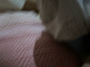 Basic House/百家好慵懶風(fēng)刺繡套頭毛衣小個(gè)子秋冬新款圓領(lǐng)上衣女 燕麥色 S 曬單實(shí)拍圖