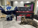 雷蛇（Razer）烈焰神蟲(chóng)V2專(zhuān)業(yè)版鼠標墊 RGB幻彩 細致紋理 防滑橡膠底面 黑 曬單實(shí)拍圖