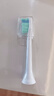 飛利浦（PHILIPS）原裝適配電動牙刷頭HX9021/9023適配鉆三HX6730HX6761HX6806HX3226HX6721HX5181HX5161 3支 【牙菌斑潔凈】 曬單實拍圖