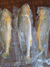 鮮京采 冷凍三去黃花魚(寧德大黃魚)1700g (5條裝)  禮盒  生鮮 海魚 曬單實拍圖