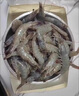 鮮京采 厄瓜多爾白蝦 凈重3斤/盒 特大號20-30規格   30-45只/盒 曬單實(shí)拍圖
