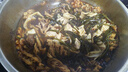 鮮京采優(yōu)選鴨腸 4斤 鹵味食材 涮火鍋麻辣甜辣鹵味鴨貨鴨肉 源頭直發(fā) 曬單實(shí)拍圖