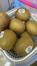 佳沛（zespri）綠奇異果10個裝 寶寶果單果約77-89g 水果獼猴桃包郵 曬單實拍圖