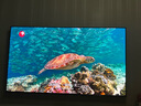 海信電視小墨E5Q Pro85英寸 1248分區U+MiniLED 信芯芯片 抗反光防眩光墨晶屏 300Hz國家補貼85E5Q-PRO 曬單實(shí)拍圖