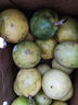 廣西欽蜜9號黃金百香果萬(wàn)澄當季新鮮大果黃皮果奶茶店水果 【1斤 約11-17個(gè)】單果30-45g 曬單實(shí)拍圖