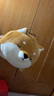 名創(chuàng  )優(yōu)品（MINISO）柴犬系列毛絨公仔趴姿玩具娃娃抱枕睡覺(jué)室內臥室辦公室生日禮物 曬單實(shí)拍圖