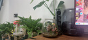 哈曼卡頓水晶4代 桌面藍(lán)牙音箱  電腦通用雙聲道 Soundsticks4 電腦音箱桌面藍(lán)牙音箱氛圍燈音響生日禮物 水晶4 黑色款 曬單實(shí)拍圖