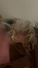空座汀茶杯玻璃小茶杯帶把手品茗杯加厚耐熱泡茶功夫茶盞茶具配件套裝 全透明100ml 6只 含杯架 曬單實(shí)拍圖