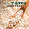 禾小町有機熟黑芝麻一級烤黑芝麻高鈣鐵鋅高蛋白低溫烘焙免洗即食260g 曬單實(shí)拍圖