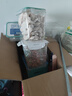 WEYES凍干三文魚(yú)500g桶裝成幼貓狗寵物零食凍干魚(yú)肉干營(yíng)養(yǎng) 曬單實(shí)拍圖