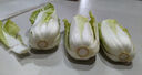 山東娃娃菜新鮮小白菜當季黃牙白蔬菜火鍋涮菜源頭直發(fā)包郵 1包3顆裝 曬單實(shí)拍圖