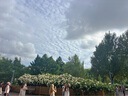 Mistine蜜絲婷防曬霜小黃帽40ml防水防汗紫外線高倍學(xué)生軍訓(xùn)SPF50+赴山海 曬單實(shí)拍圖