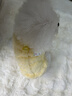 MIKI PAD狗狗衣服秋冬款背心絨衣加厚保暖寵物比熊泰迪雪納瑞中小型犬馬甲 黃色【加絨款】 S胸圍32cm（按照胸圍購買(mǎi)/參考體重2-4斤） 曬單實(shí)拍圖
