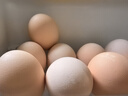 正大食品【無(wú)抗】可生食富硒鮮雞蛋15枚 曬單實(shí)拍圖