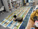 四季時(shí)光畫(huà)卷版（此版本為地板書(shū)）中英雙語(yǔ)，含春夏秋冬月夜5冊，國際安徒生大獎得主蘇珊娜·貝爾納成名作浪花朵朵3歲-10歲 曬單實(shí)拍圖