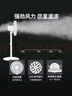 先鋒(SingFun)家用電風扇落地扇米白風扇節(jié)能宿舍小風扇臺地扇空氣循環(huán)扇靜音大風量風扇DLD-D17 曬單實拍圖