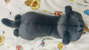 EZF可愛(ài)趴姿黑貓毛絨玩具貓咪玩偶抱枕送對象生日禮物送生日禮物 灰色貓咪 90厘米 曬單實(shí)拍圖