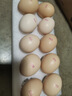 京喜加富硒雞蛋45-55g/枚新鮮雞蛋土雞蛋溏心蛋早餐買(mǎi)菜京東包郵溏心蛋 富硒雞蛋10枚 曬單實(shí)拍圖