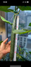三思植物燈仿太陽(yáng)全光譜懸掛植物生長(cháng)燈補光燈-100W大功率可調光 曬單實(shí)拍圖