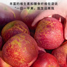 杜康 老窖豪享版 濃香型白酒 52度 750ml*6瓶 整箱裝【大容量口糧酒】 曬單實(shí)拍圖