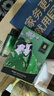 春鶯（Joriole）費(fèi)洛蒙香水男士荷爾蒙性刺激香水女性調(diào)情香聞香心動(dòng)15ml 曬單實(shí)拍圖