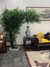 景塵仿真榕樹(shù)假樹(shù)仿真大型植物酒店商場(chǎng)婚禮道具許愿樹(shù)景觀(guān)樹(shù)櫥窗裝飾 【圓形款】高1.8米*寬1.5米 曬單實(shí)拍圖