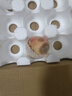京鮮生  國產(chǎn)脆蜜桃 凈重4.5斤 單果150g+ 生鮮水果 源頭直發(fā)  曬單實(shí)拍圖